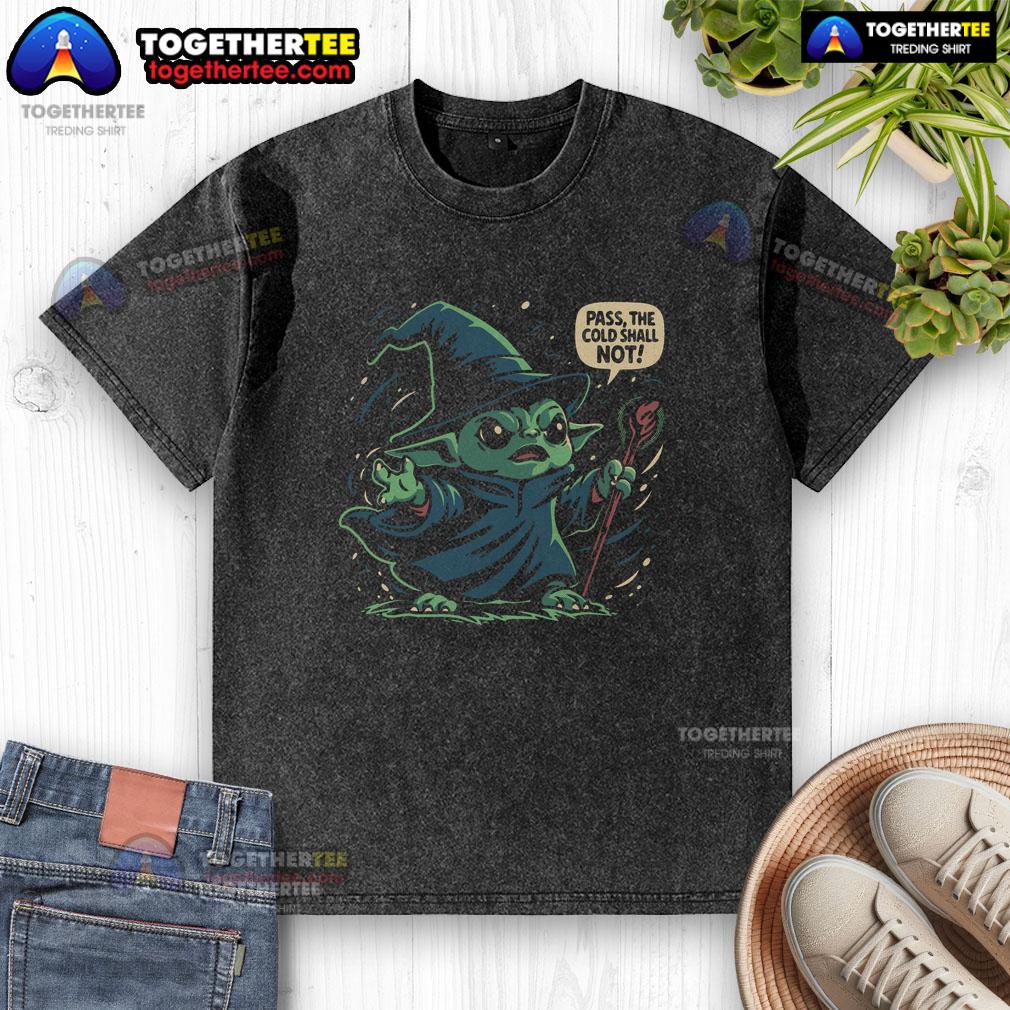 Nice The Cold Shall Not Pass washed t-shirt featuring a stylish design, perfect for casual wear and winter enthusiasts.