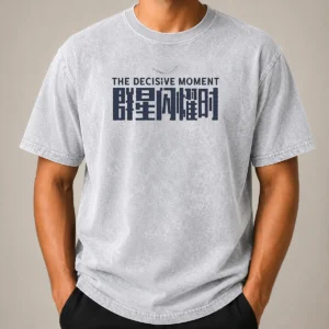 Funny The Decisive Moment washed t shirt in soft cotton with faded vintage look, front view