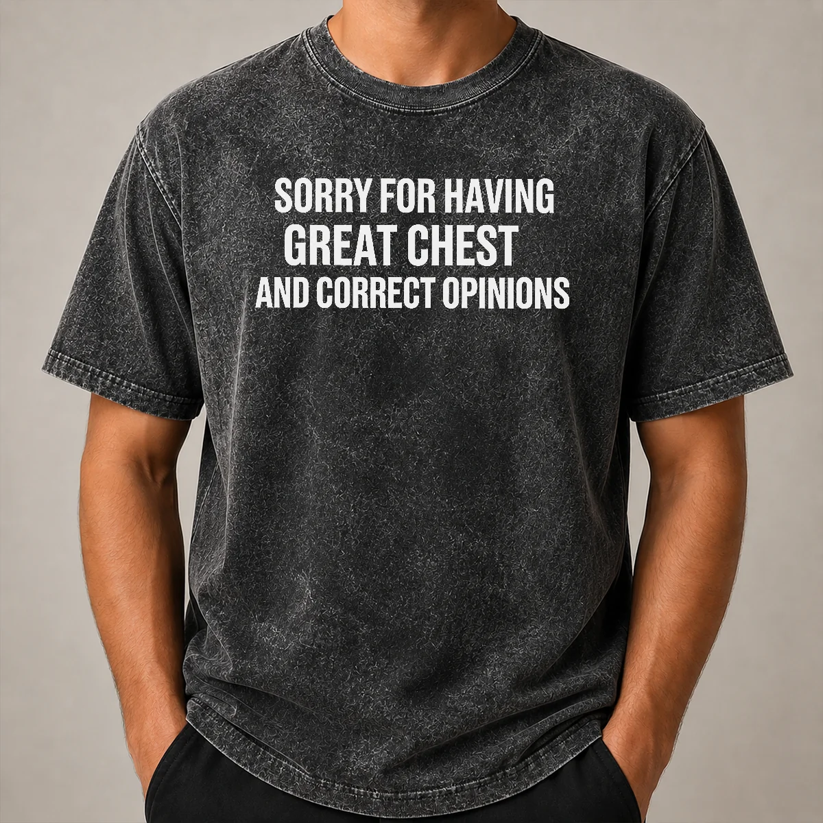 Pretty Nice Sorry For Having Great Chest And Correct Opinion Washed T Shirt Pretty Nice Sorry For Having Great Chest And Correct Opinion washed t shirt in light grey fabric showing front print design